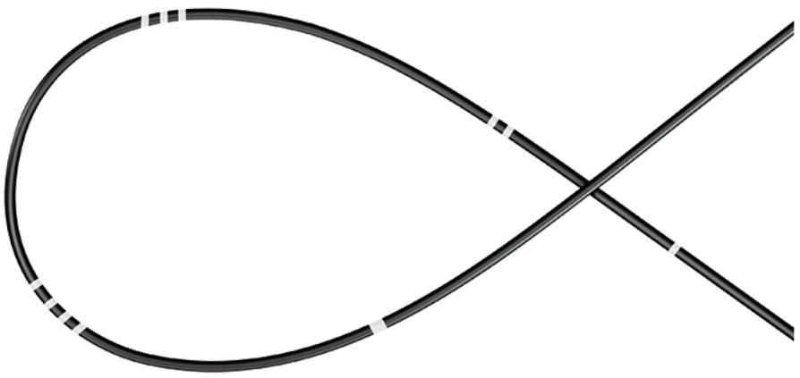 ZSR-Guide wire (LOACH) ClearEyes™.png