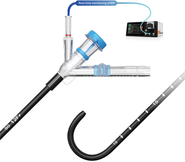 ZSR-IRP Sheath.png ZSR-IRP Sheath.png
